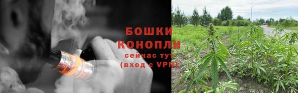амф Белоозёрский